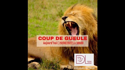 DL - Coup de gueule du jour