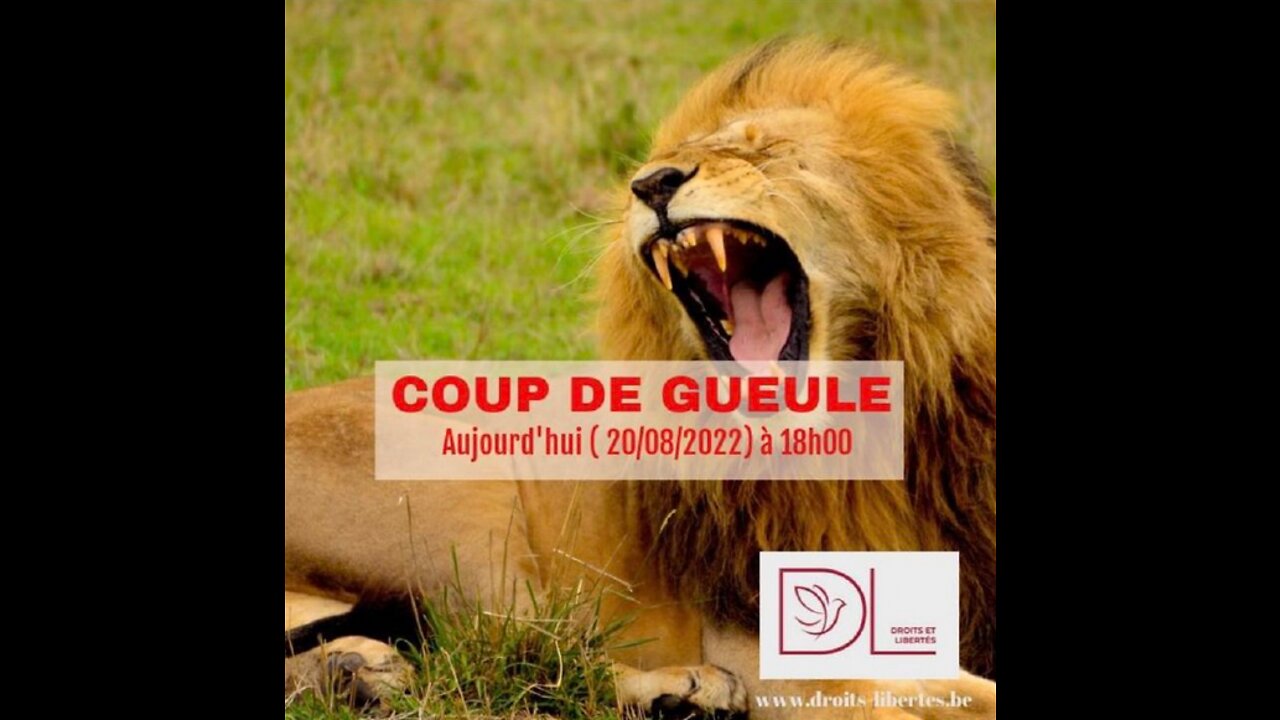 DL - Coup de gueule du jour