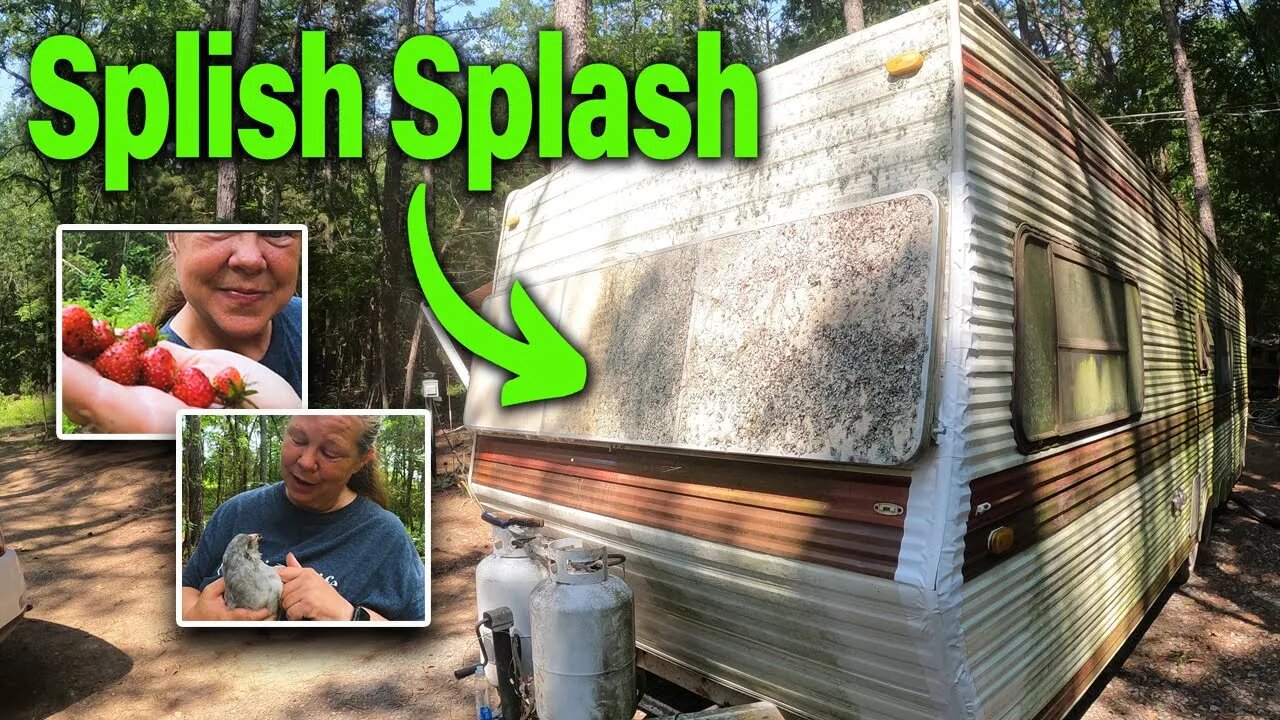 THE UGLY TRUTH, Free Camper, Post Homeless Single Woman Builds, Tiny House, in the Woods