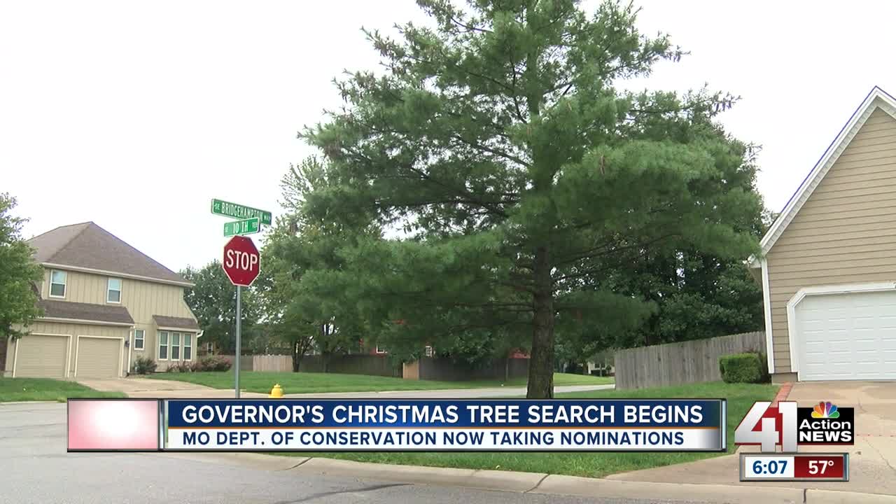 Missouri governor on the hunt for a Christmas tree