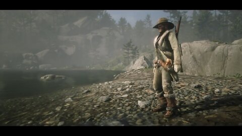 Red Dead Redemption 2 (Gameplay PS4)