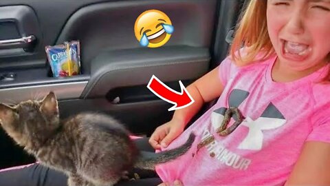 Cats and Dogs 2022 / Funniest Animals Video