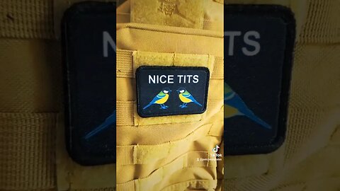 who doesn't like a nice pair of beautiful....birds #shorts #funny