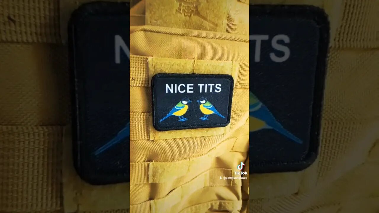 who doesn't like a nice pair of beautiful....birds #shorts #funny