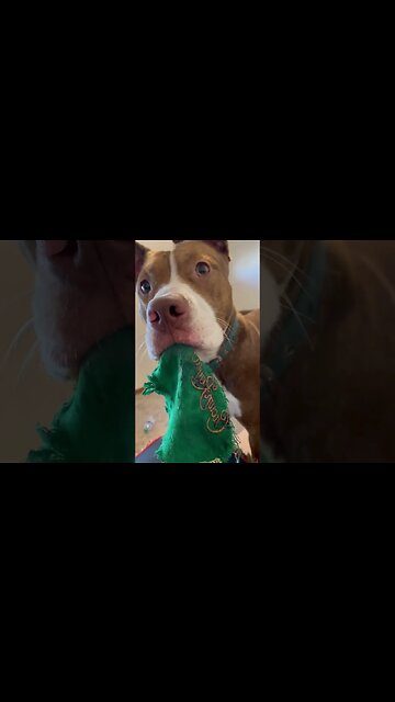 Hey you, try and take this from me!