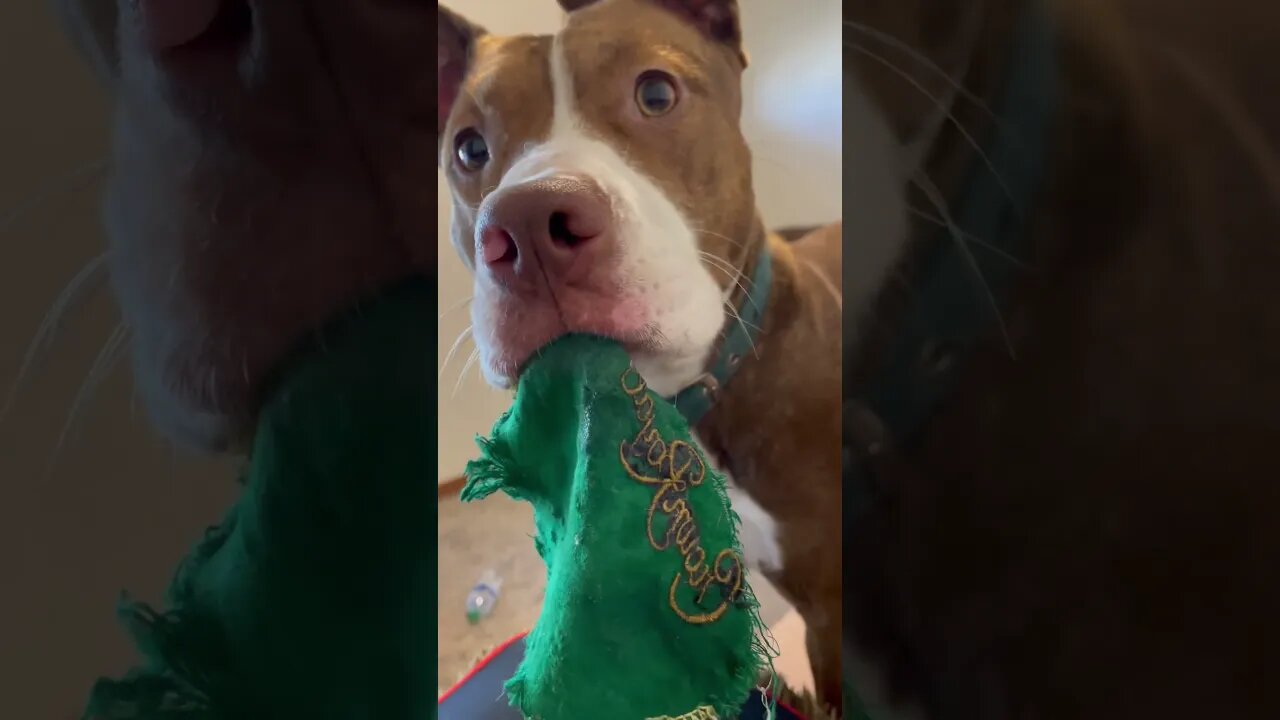 Hey you, try and take this from me!