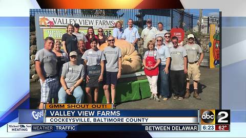 Good morning from the giant pumpkin and friends at Valley View Farms