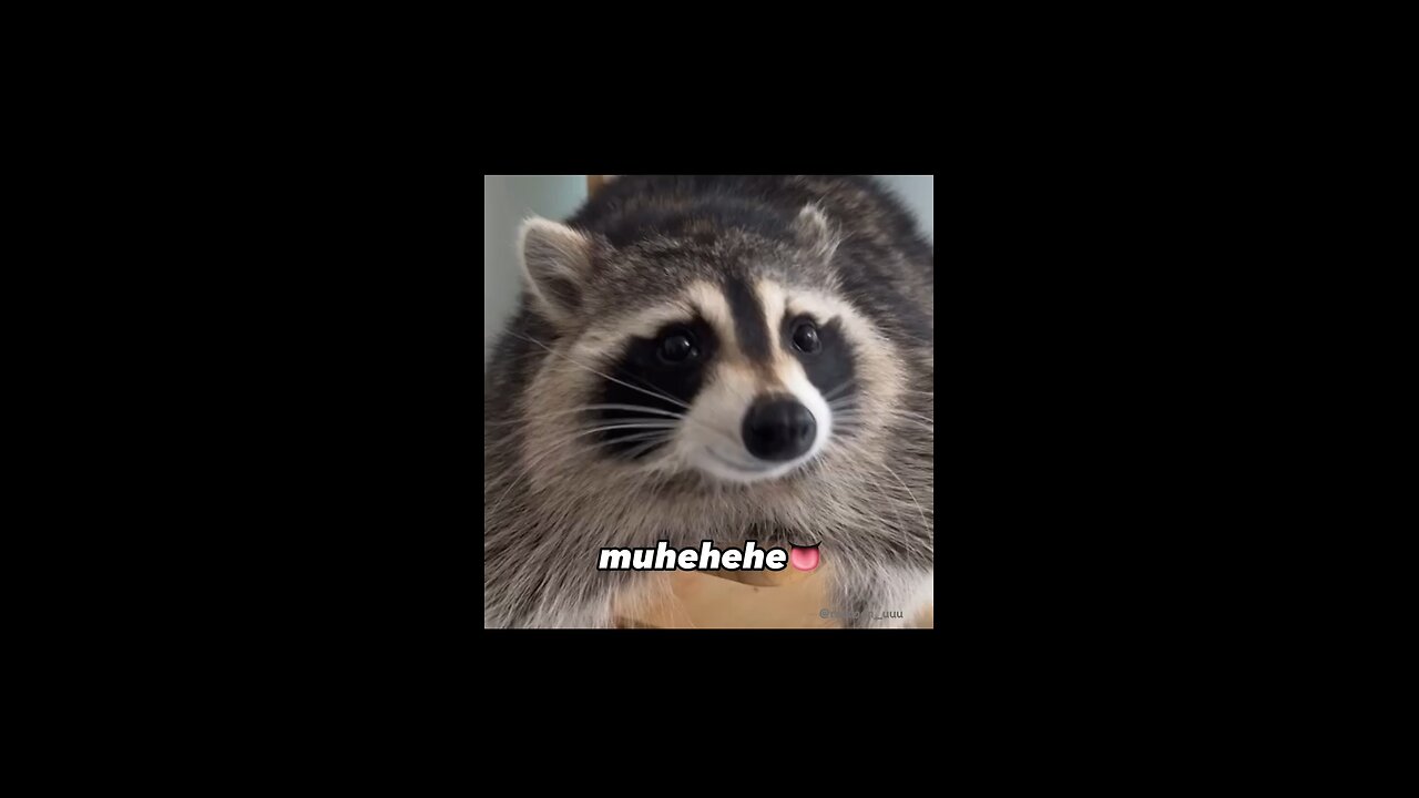 😂😂😂