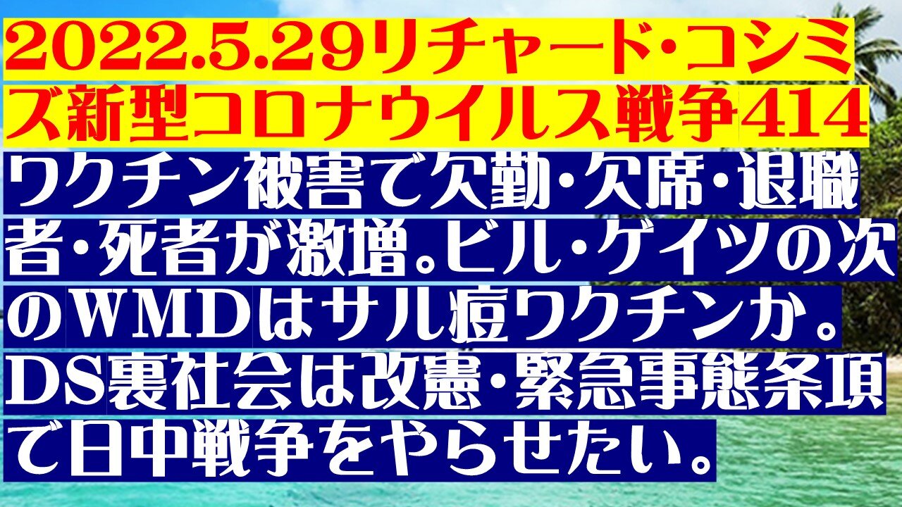 2022.5.２９リチャード・コシミズ新型コロナウイルス戦争414