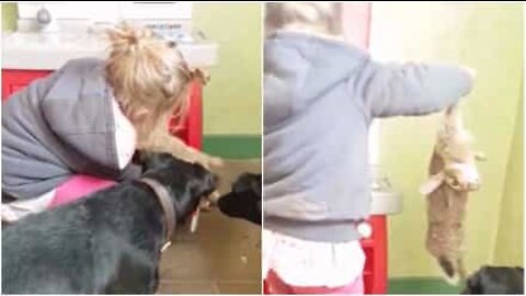 Bambina mette il coniglio morto nel forno giocattolo