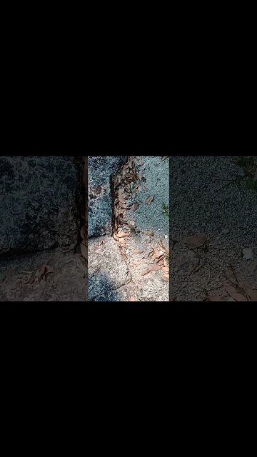 Pib? Storage Pit, Fire Pit? I think they had a Píib in their kitchen.