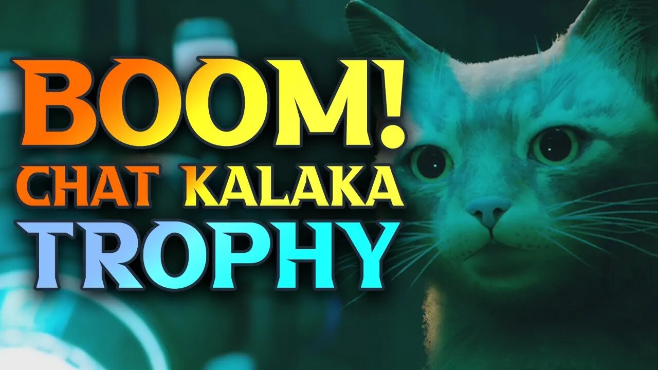 Stray Boom Chat Kalaka Trophy - How To Dunk The Basket Ball In Stray