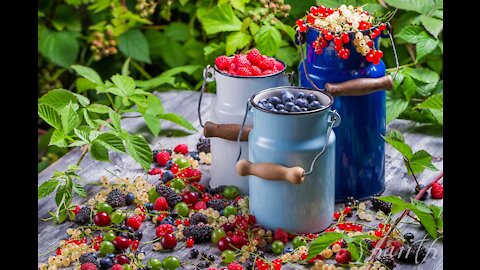 4 Tips on How to Eat Right