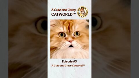 "What Are You Chewing On?" (#9C2L, Ep. 3) #Shorts