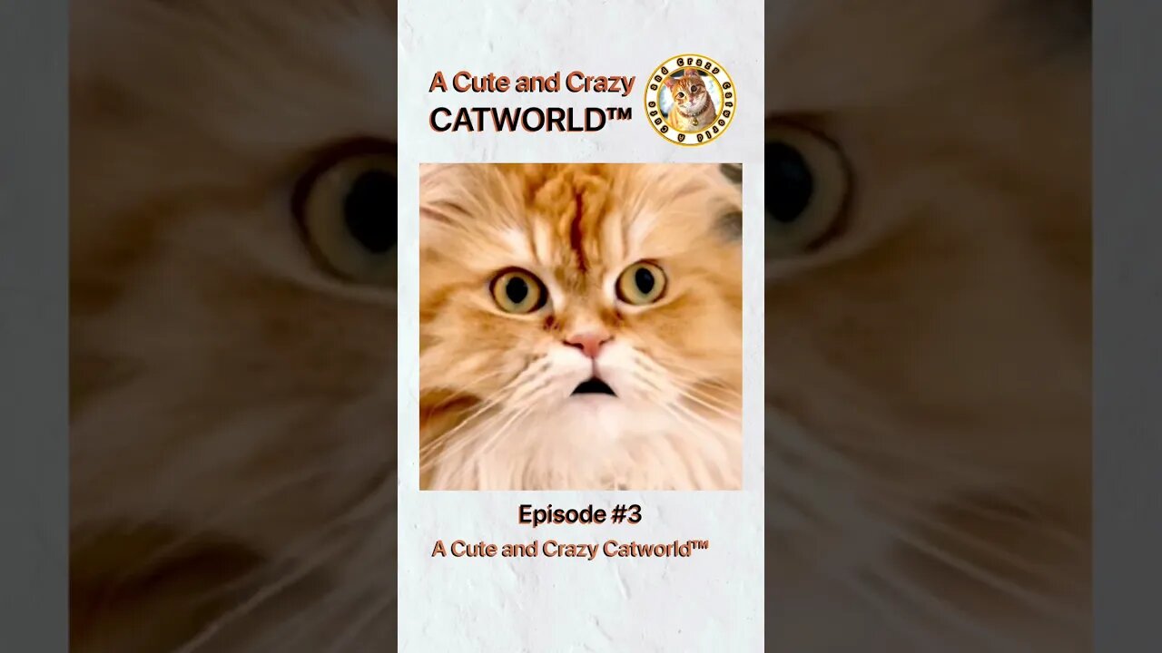 "What Are You Chewing On?" (#9C2L, Ep. 3) #Shorts