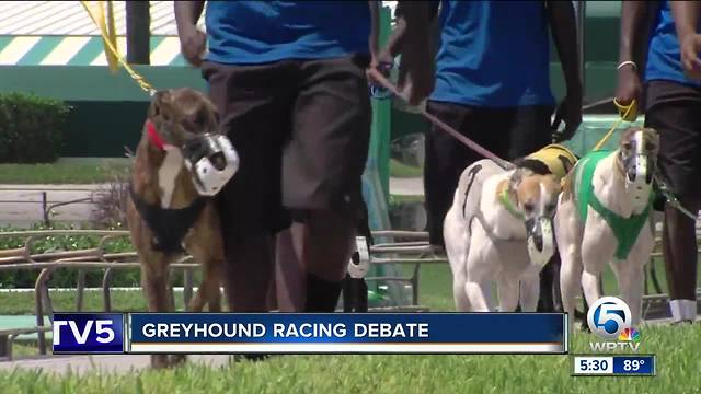 Greyhound dog racing debate heating up