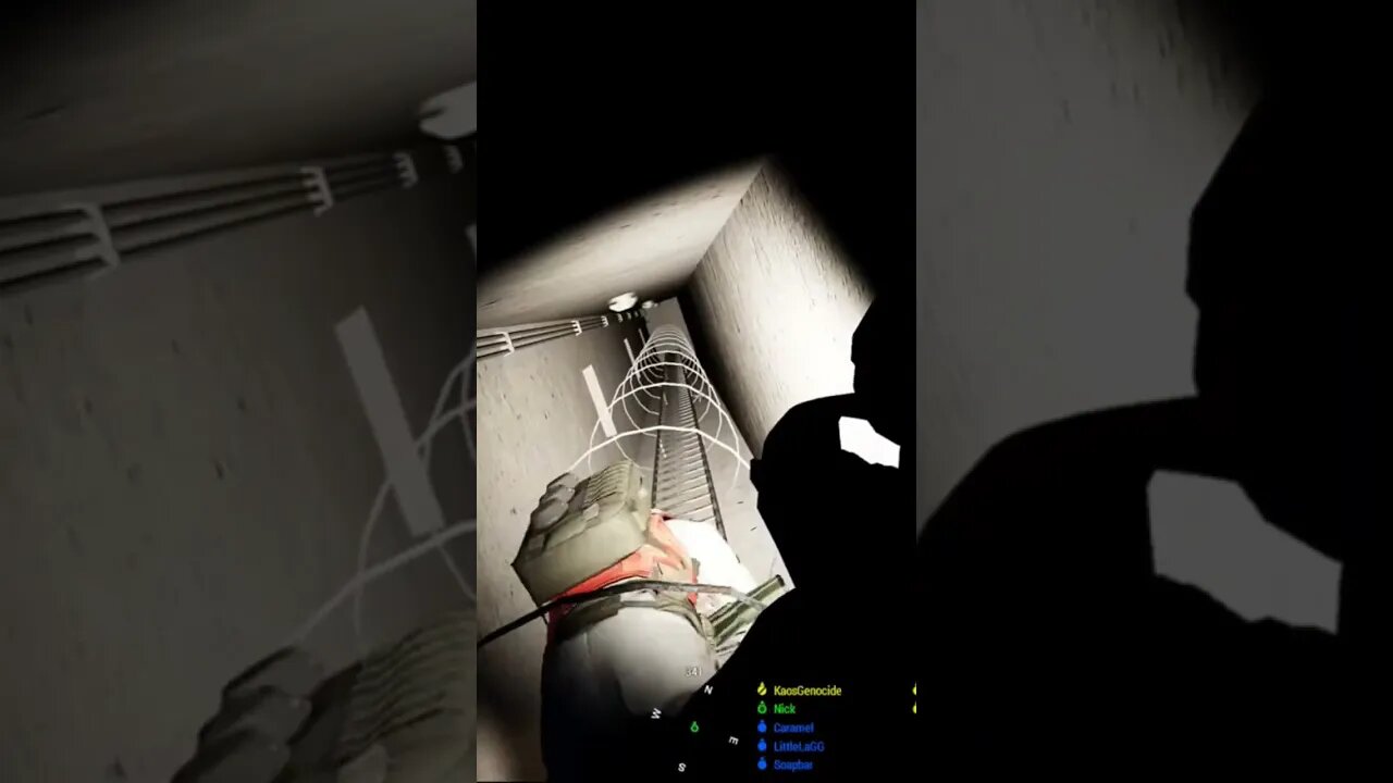 Unexpected Snake Eater Ladder Theme! Arma 3 Shorts #pcgaming #gaming #arma3