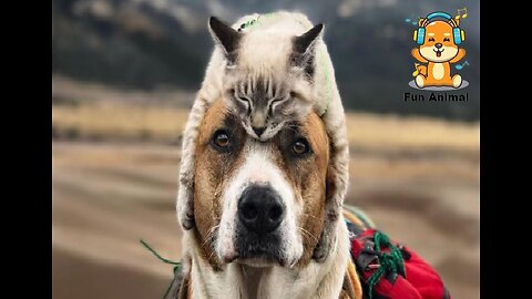 Happy animals interacting with people