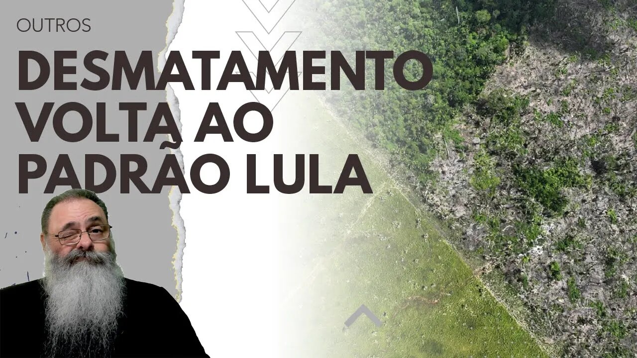 DESMATAMENTO TRIPLICA no PRIMEIRO TRIMESTRE de LULA, VOLTANDO À MÉDIA do GOVERNO LULA ANTERIOR