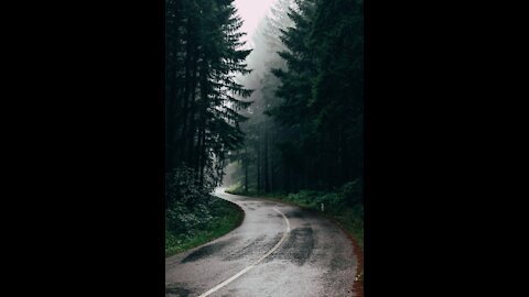 Happy rainy day | A short clip of beautiful raining.