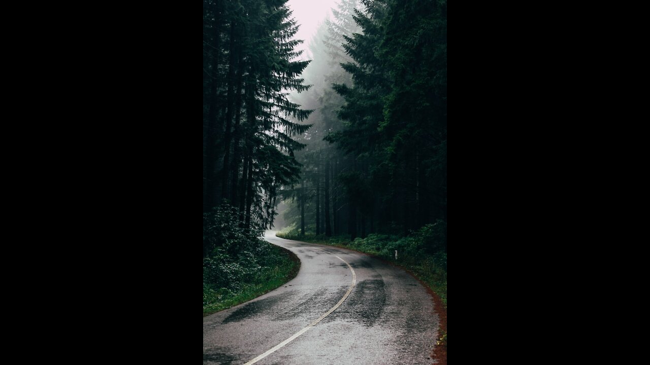Happy rainy day | A short clip of beautiful raining.