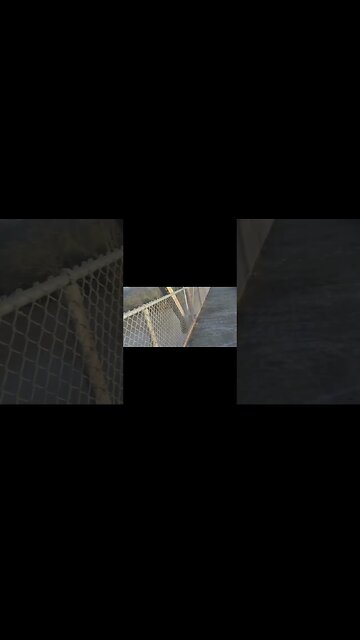 Fresh Air and Sunshine: The Health Benefits of an Outdoor Walk- #Shorts