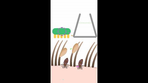 Bug Attacks Head During Concert! #shorts #music