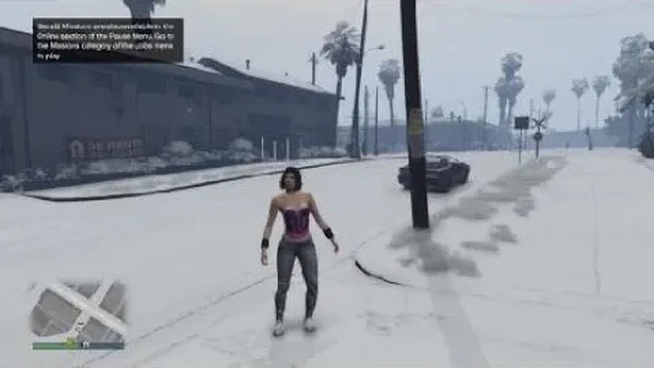 Grand Theft Auto Online The Collectors
