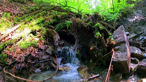 Gentle Stream Sounds | Relaxing Stream Sounds use for Relaxation, Sleep, insomnia