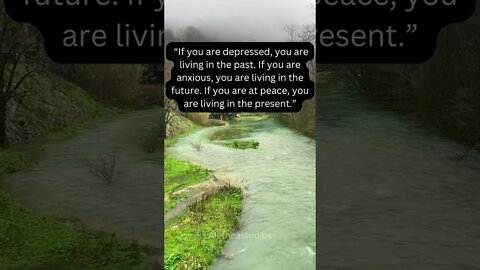 Why you need to live...…#shorts