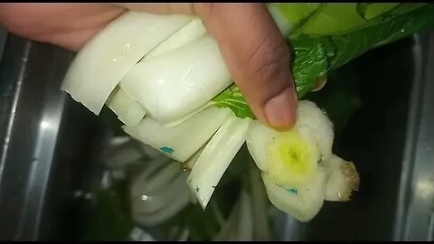 Snail Bait In Bok Choy Trinidad and Tobago 🇹🇹 Farmers K!lling Citizens