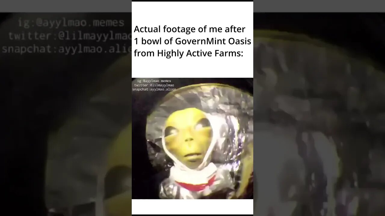 GovernMint Oasis got me like: #Shorts