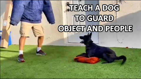 Teach your DOG to GUARD PEOPLE