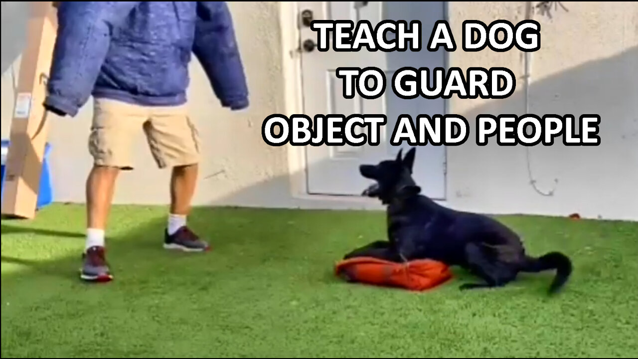 Teach your DOG to GUARD PEOPLE