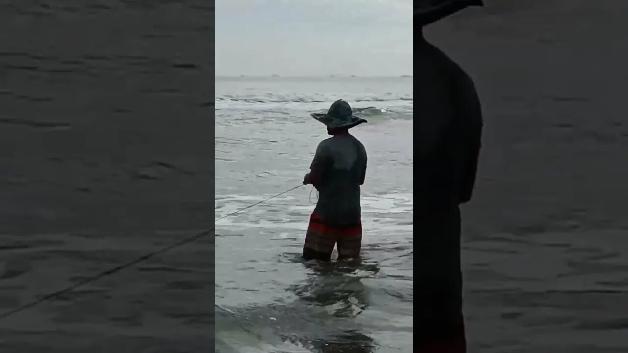 #fish #fishing #fisherman #shortvideo #shortsfeed