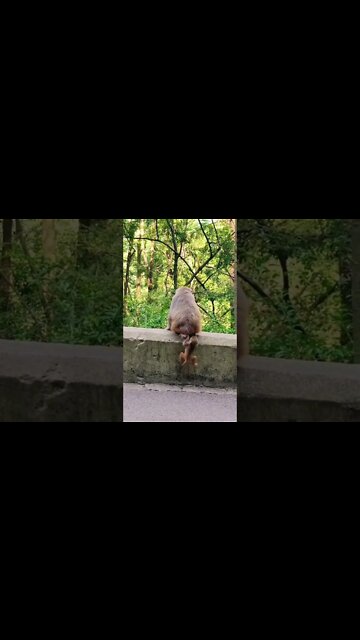 Most Amazing and trending video||relaxing your mind||trendig videos|| #shorts #trending #viral #live