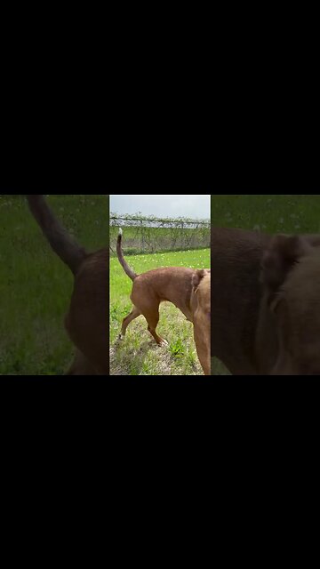 Relaxing at the lake.