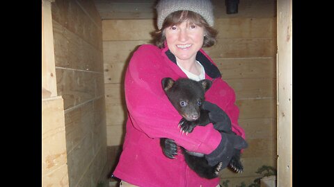 Bear Care & Behavioral Researcher & photographer,Video/recordings,data ©Dawn L. Brown