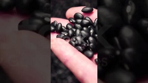 #blackbeans#healthy #healtyfood #goodforyourhealth #vegetables#supportmychannel 🙏🙏🙏