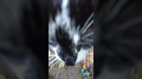 Mooshie loves to give kisses.