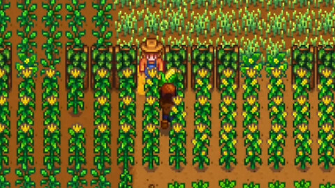 Stardew Valley Playthrough Part 43
