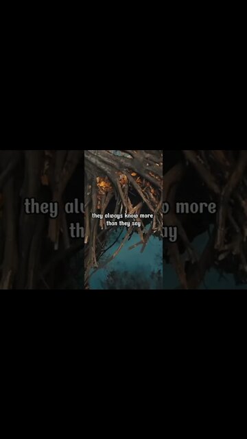 They always know more #motivational #motivation #motivationalspeech