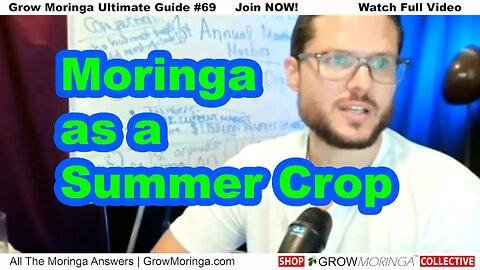 Grow Moringa as a Summer Crop