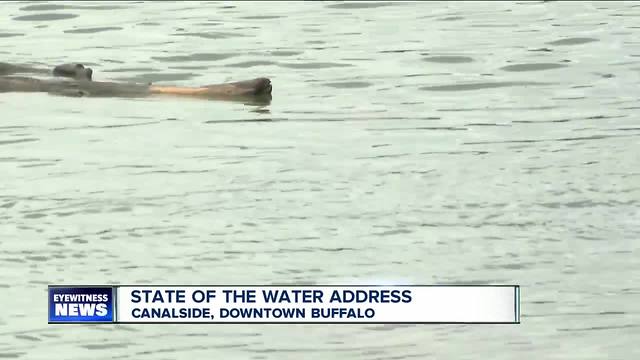 Things that are contaminating Western New York water