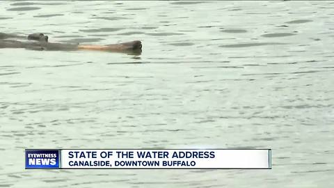 Things that are contaminating Western New York water