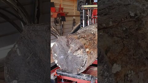 Sawmill VS A Rotted Maple Log #shorts