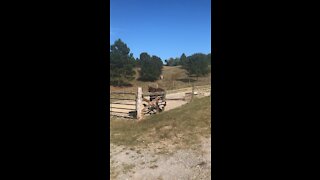 ￼ That Itch you just can’t quite get to!!