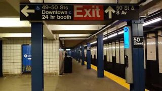 Mouse shows perseverance on New York subway