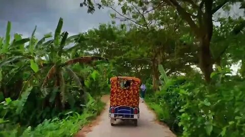 গ্রাম বাংলার প্র প্রাকৃতিক দৃশ্য