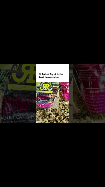 Top 7 cat food brands of 2023 #shorts